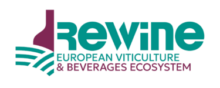 ReWine Project